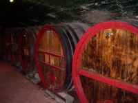 Weinkeller in Burgund