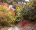 herbstbeginn_118x100 Herbstfarben