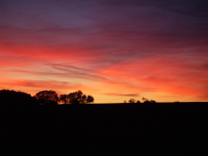 SU20110929-dief19.30_Kopie