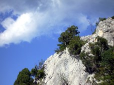 Felsen-04-Ardèche_227x170