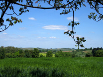 blick-felder-klein