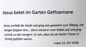 060-jesus-gethsemane
