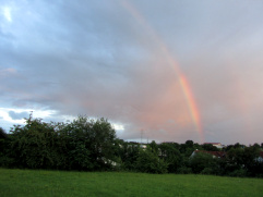 regenbogen-wald